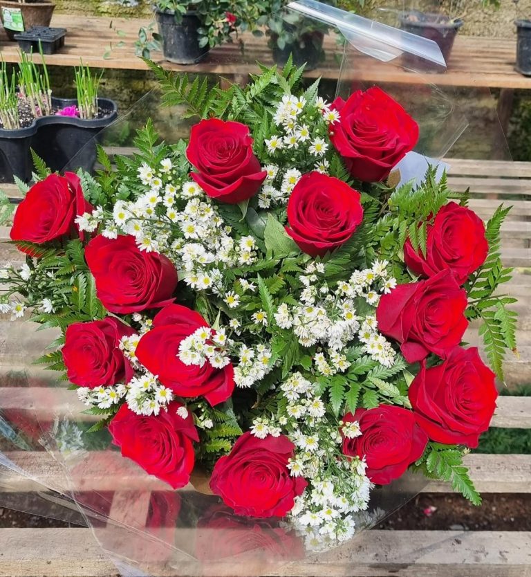 WhatsApp Image 2022-09-03 at 11.07.07 (2)