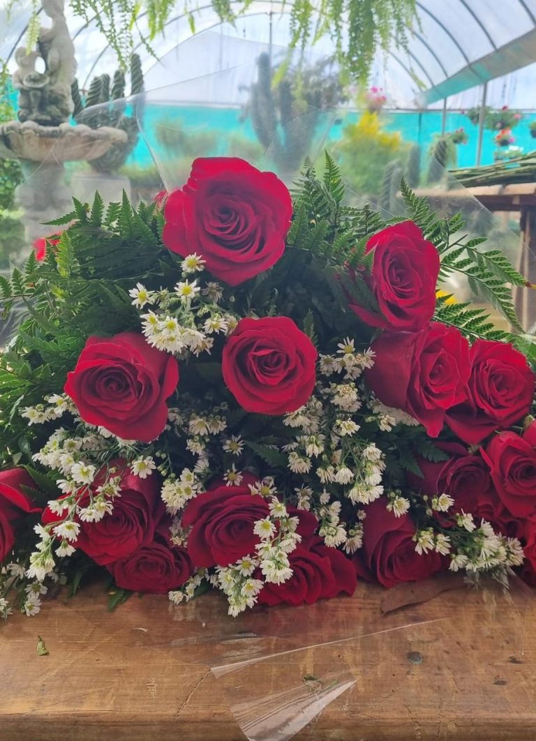 WhatsApp Image 2022-09-03 at 11.07.07